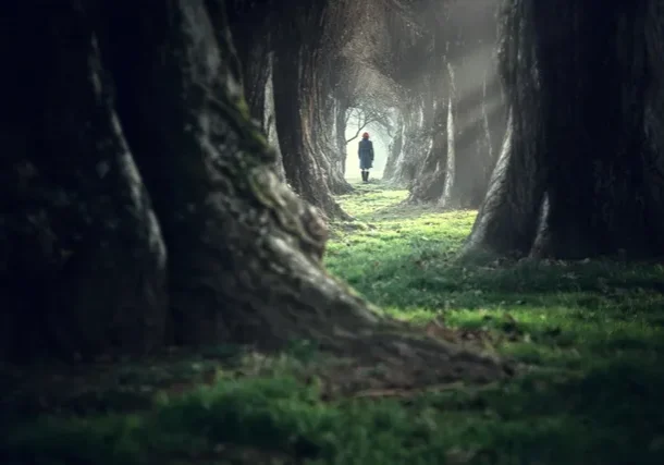 Person walking down tree-lined path.